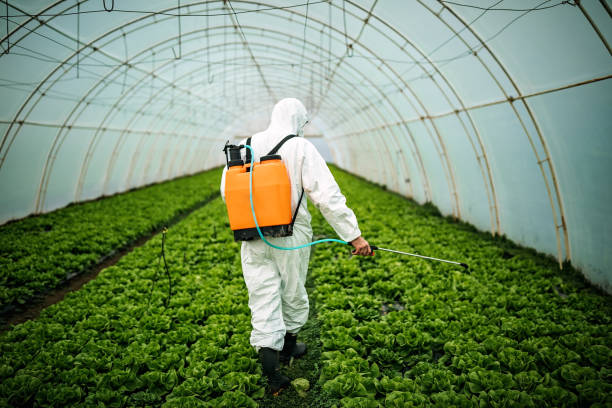 Best Pest Inspection Near Me  in Yorkvle, IL