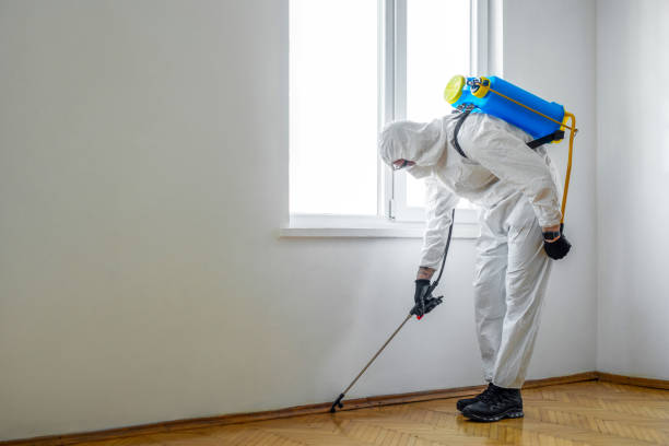 Best Exterminator Services  in Yorkvle, IL